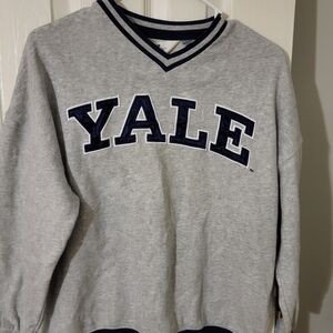 H&M Gray V-Neck Sweater with Navy Accents